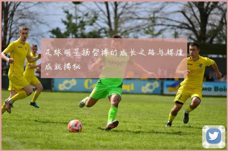 足球明星杨智博的成长之路与辉煌成就揭秘