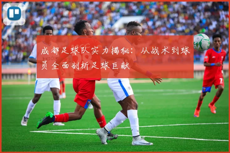 成都足球队实力揭秘：从战术到球员全面剖析足球巨献