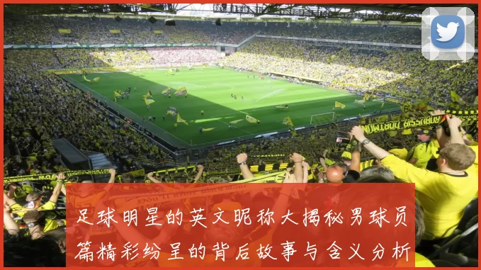 足球明星的英文昵称大揭秘男球员篇精彩纷呈的背后故事与含义分析
