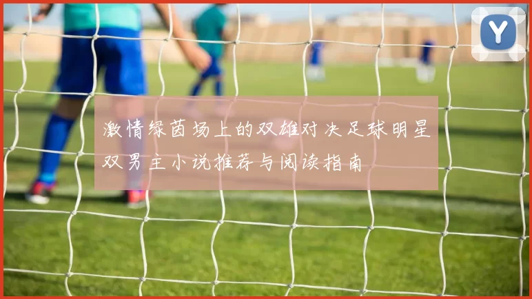 激情绿茵场上的双雄对决足球明星双男主小说推荐与阅读指南