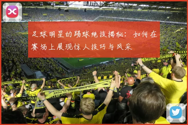 足球明星的踢球绝技揭秘：如何在赛场上展现惊人技巧与风采
