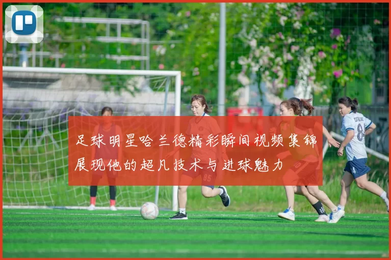足球明星哈兰德精彩瞬间视频集锦展现他的超凡技术与进球魅力