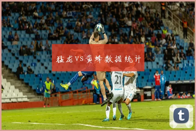 猛龙vs黄蜂数据统计