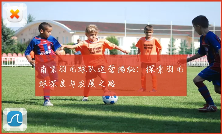 南京羽毛球队运营揭秘：探索羽毛球深度与发展之路