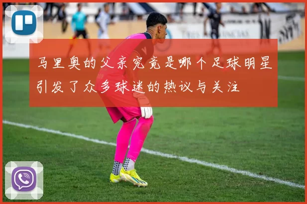 马里奥的父亲究竟是哪个足球明星引发了众多球迷的热议与关注