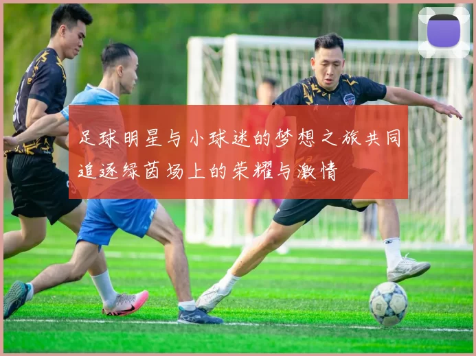 足球明星与小球迷的梦想之旅共同追逐绿茵场上的荣耀与激情