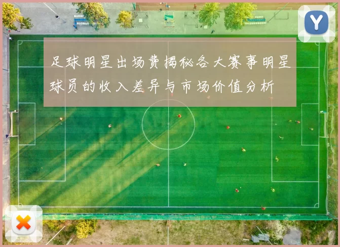 足球明星出场费揭秘各大赛事明星球员的收入差异与市场价值分析