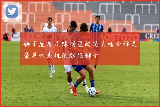 狮子座与足球明星的完美结合谁是最具代表性的球场狮子