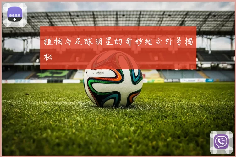 植物与足球明星的奇妙结合外号揭秘